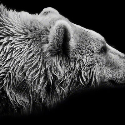 100724-09385-Bearbeitet-spike   Wolf Ademeit