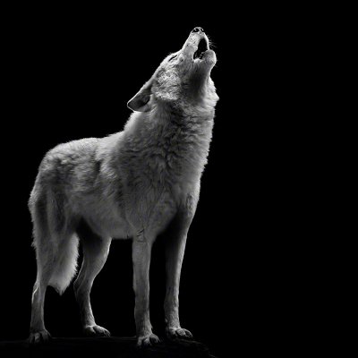 120929-00852-serenade   Wolf Ademeit